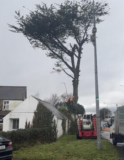 Crown Reduction in Tralee