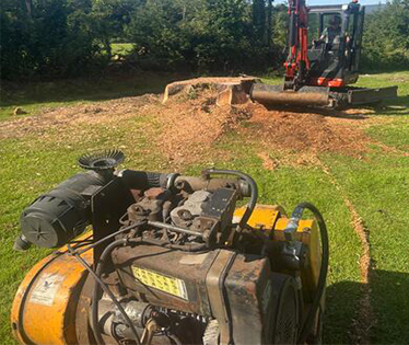 Stump Removal in Tralee