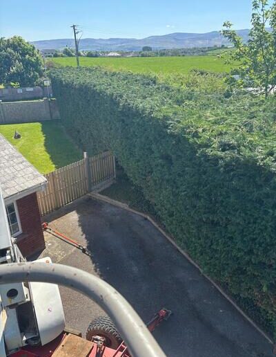 Hedge Maintenance Tralee