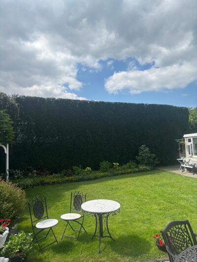 Hedge trimming in Killorglin, Co. Kerry