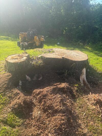 Stump Removal in Tralee