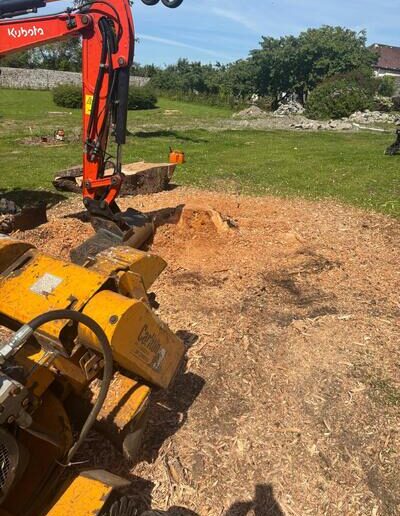 Stump Removal in Tralee