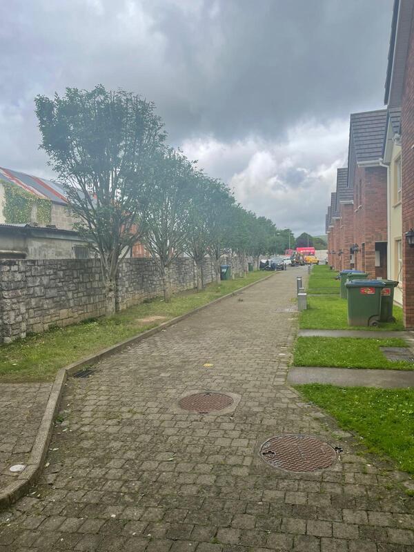 Recent Tree Surgeon work - tree removal in Listowel