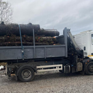 Unprocessed Firewood Logs - Half Truck Load