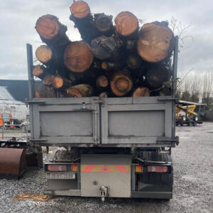 Unprocessed Firewood Logs - Full Truck Load