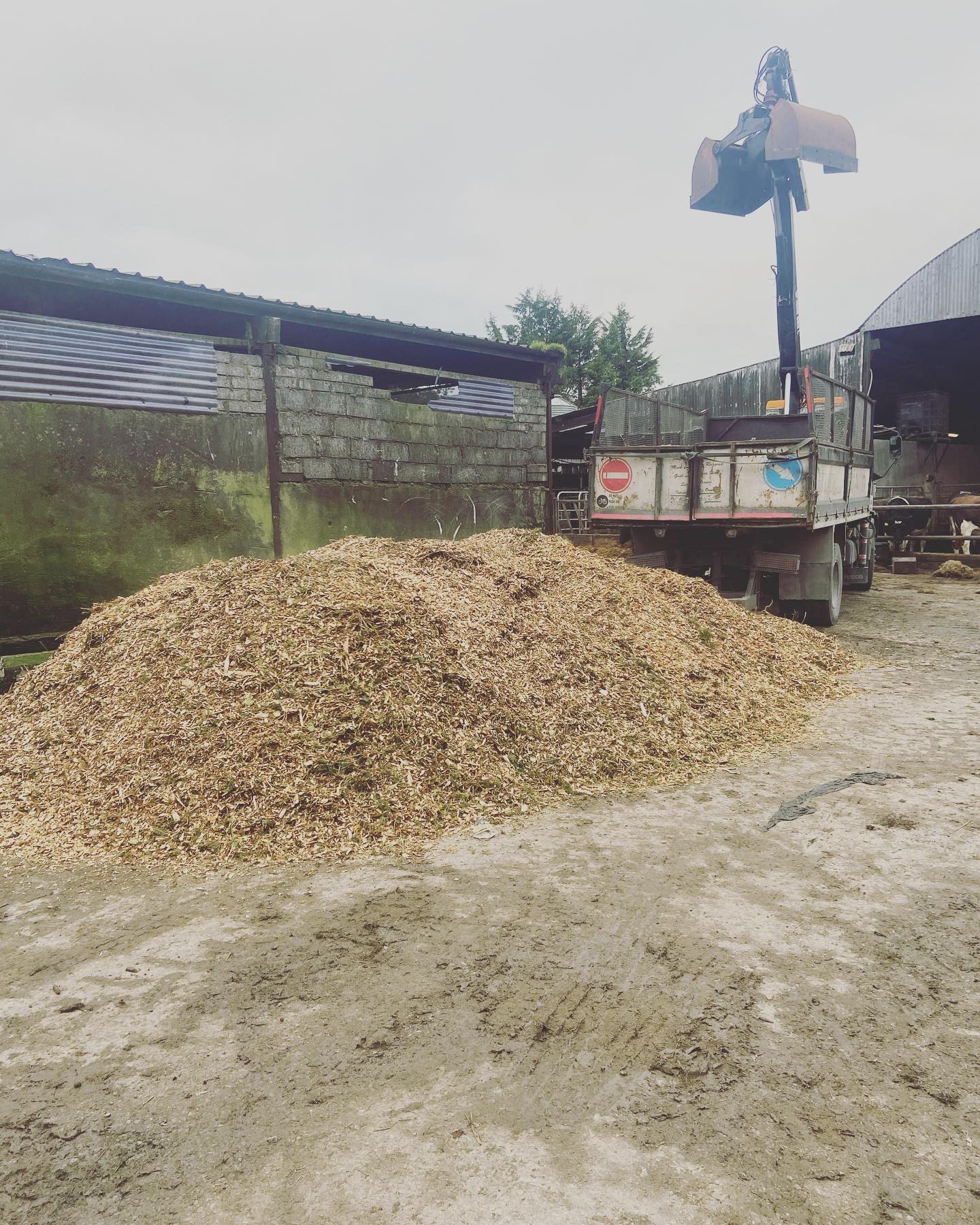 Woodchip Bedding