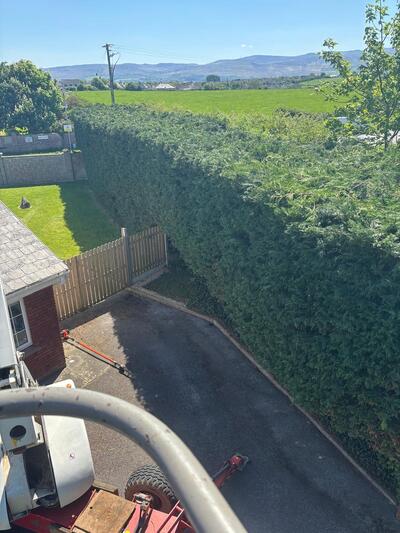 Hedge Maintenance Listowel