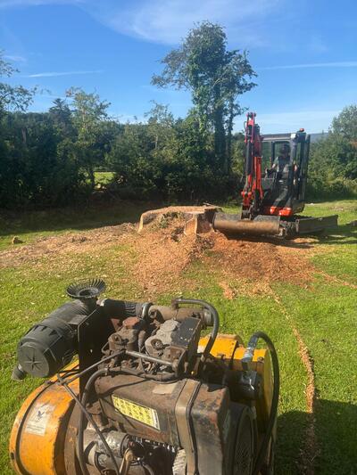Registered Tree Surgeon Listowel using crane to remove tree from closed in area
