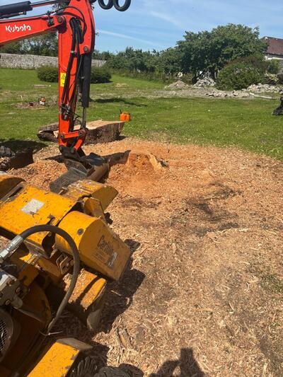 Stump Removal in Listowel